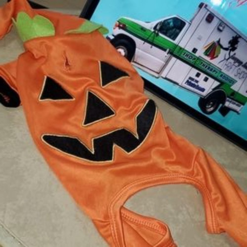 Martha Stewart Pumpkon Puppy Costume